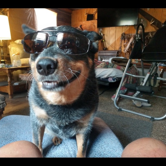 Meet the Posher - Picture 12 of 16